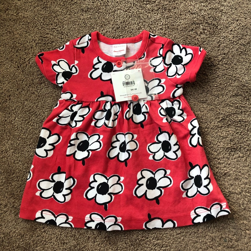 Discontinued Red floral Hanna Anderson dress